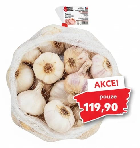 Česnek