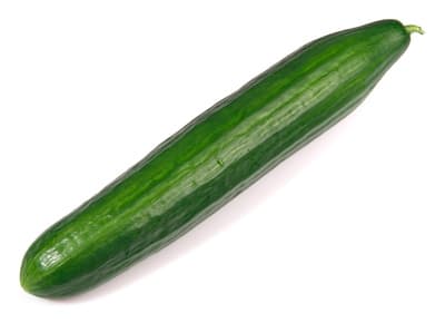 Okurka hadovka