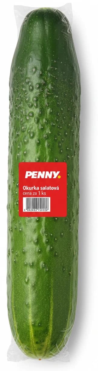 Okurka salátová