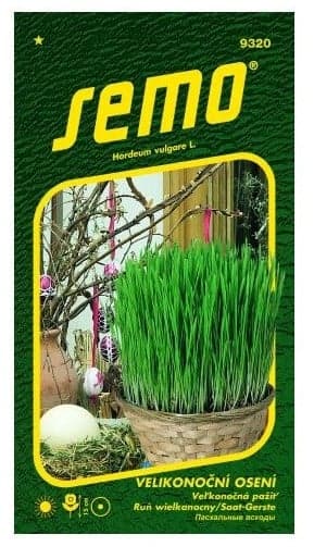 SEMO Velikonoční osení