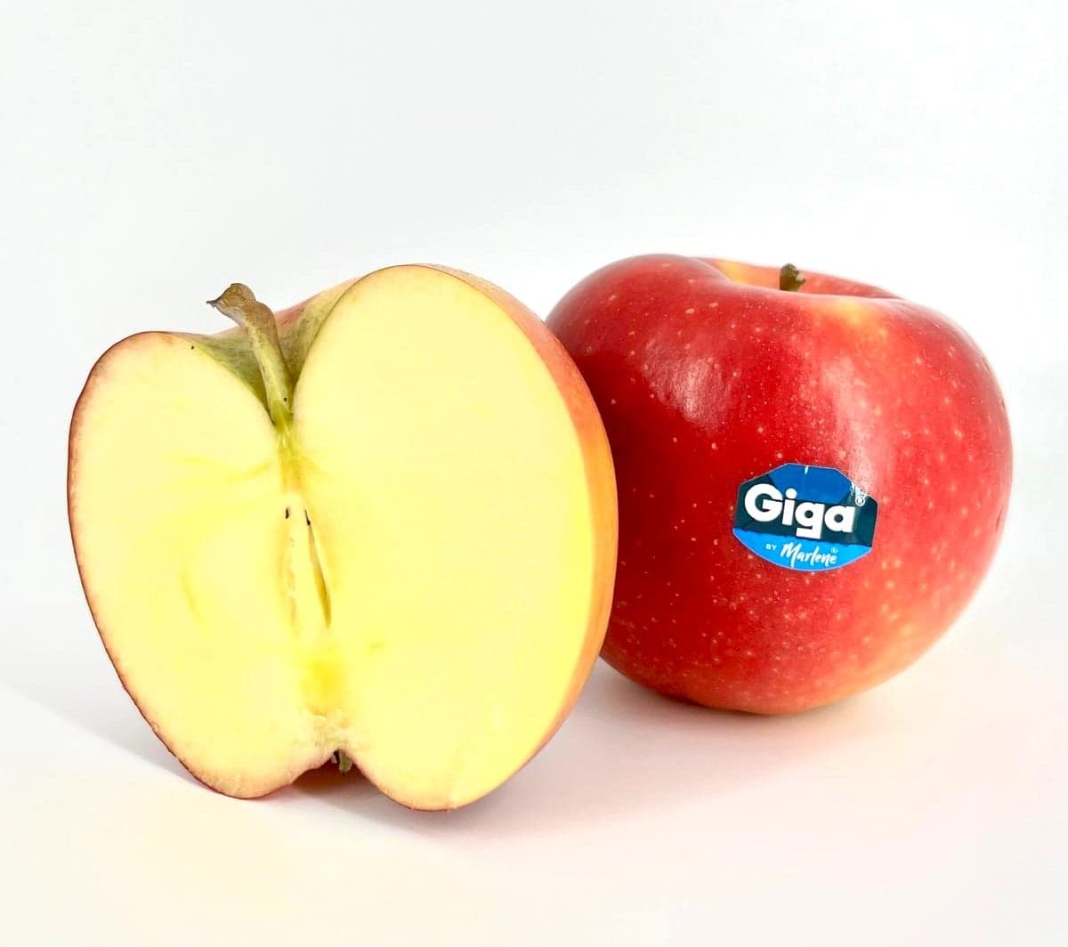 Jablko velké odr. Giga