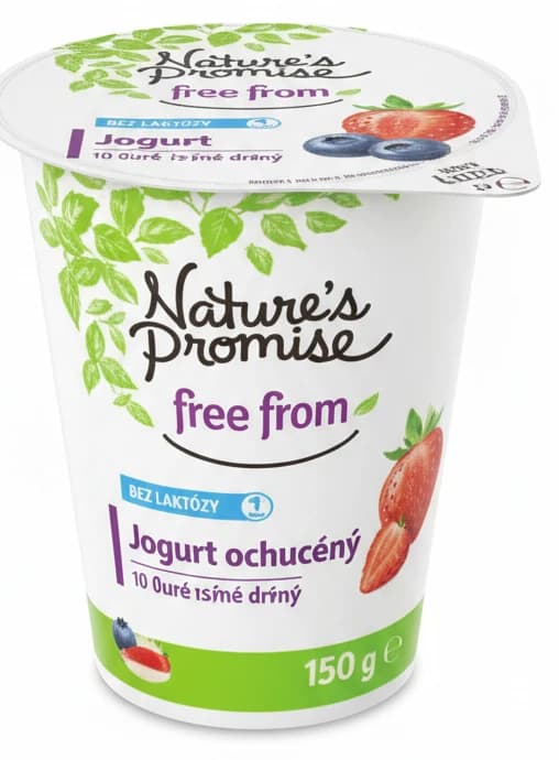 Nature's Promise Free From Jogurt ochucený