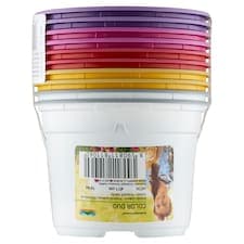 Nohel Garden Color Duo květník sadbový 11 cm 10 ks