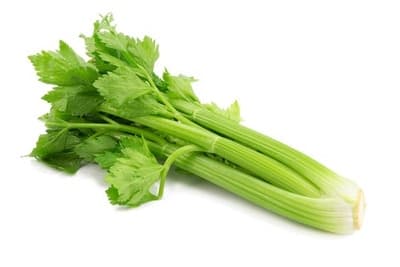 BIO Celer řapíkatý, 1 ks