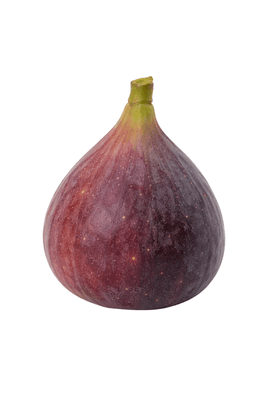Fík čerstvý, 1 ks