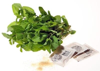 Titbit Mojito směs, vanička