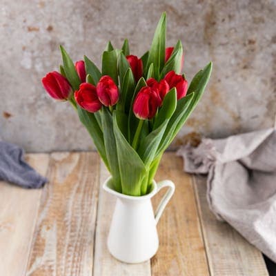 Tulipány červené 40 cm, 10 ks