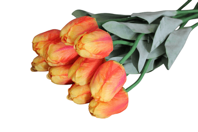 Tulipány oranžové 40 cm, 10 ks