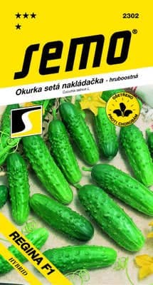 Semo Okurka setá nakládačka - hruboostná - REGINA F1