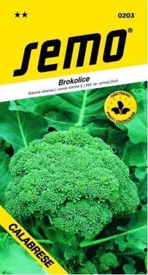 Semo Brokolice - CALABRESE