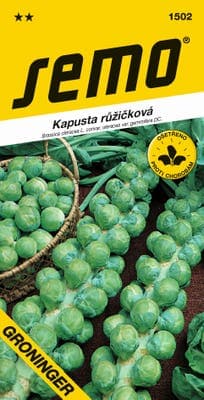 Semo Kapusta růžičková - GRONINGER