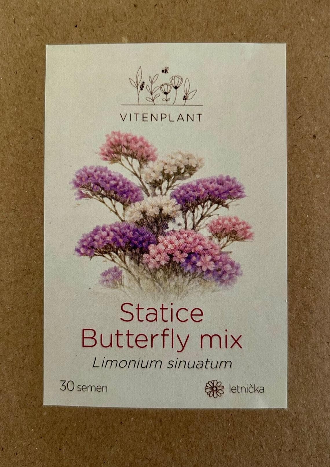 Vitenplant Statice Mix, semínka