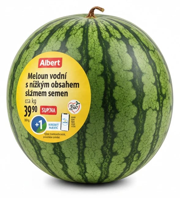 Albert Meloun vodní s nízkým obsahem semen