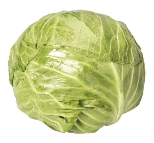 Zelí hlávkové bílé rané