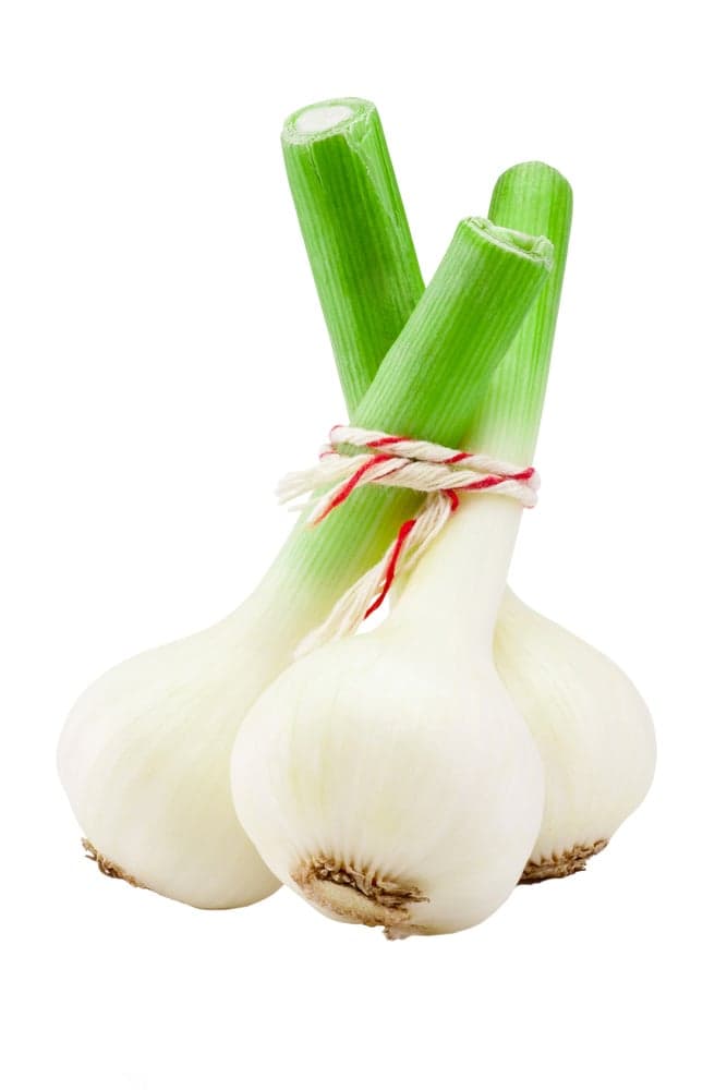 Česnek čerstvý, svazek 250 g+