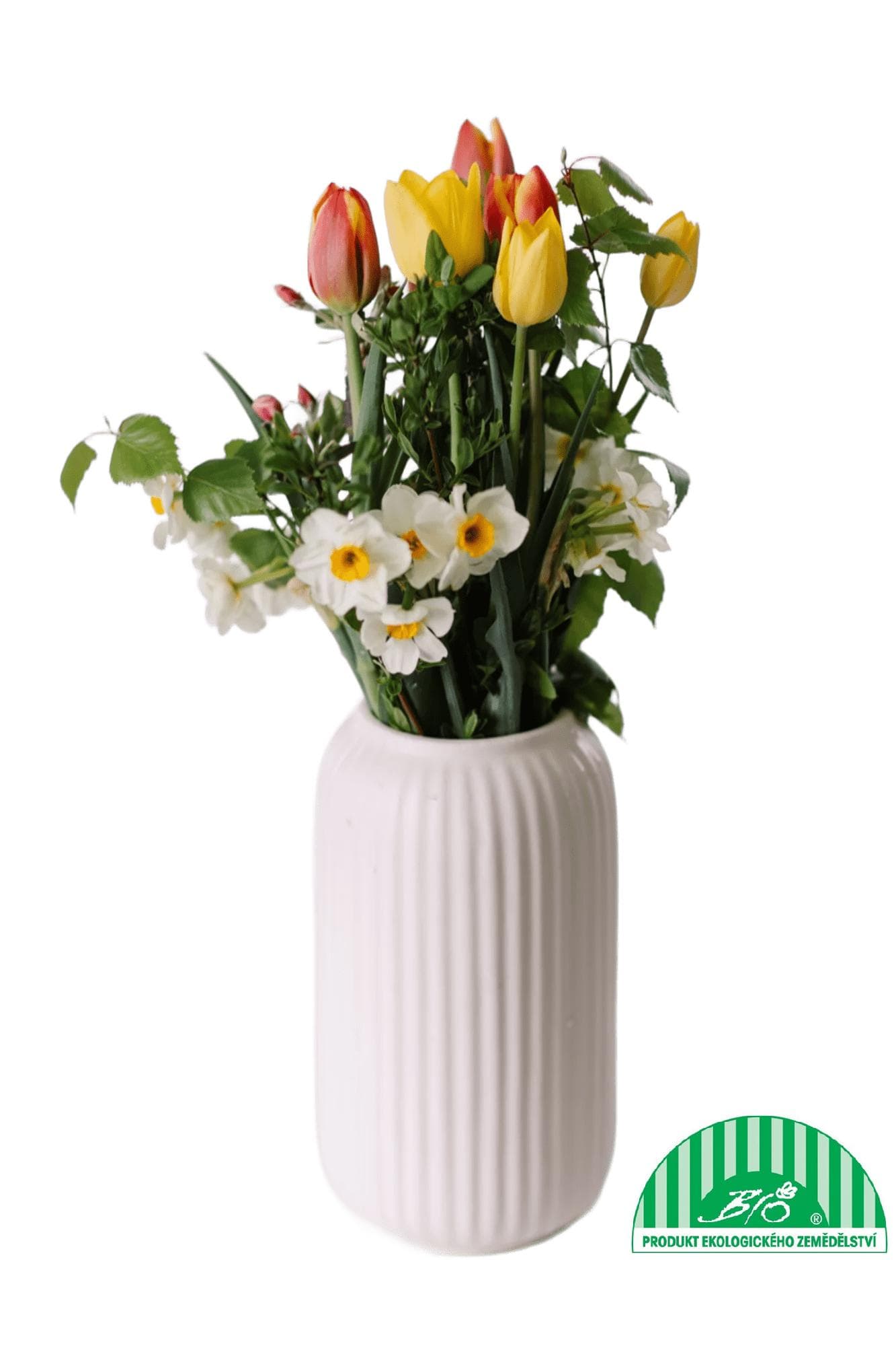 Vitenplant BIO Jarní kytice "Spring sun"