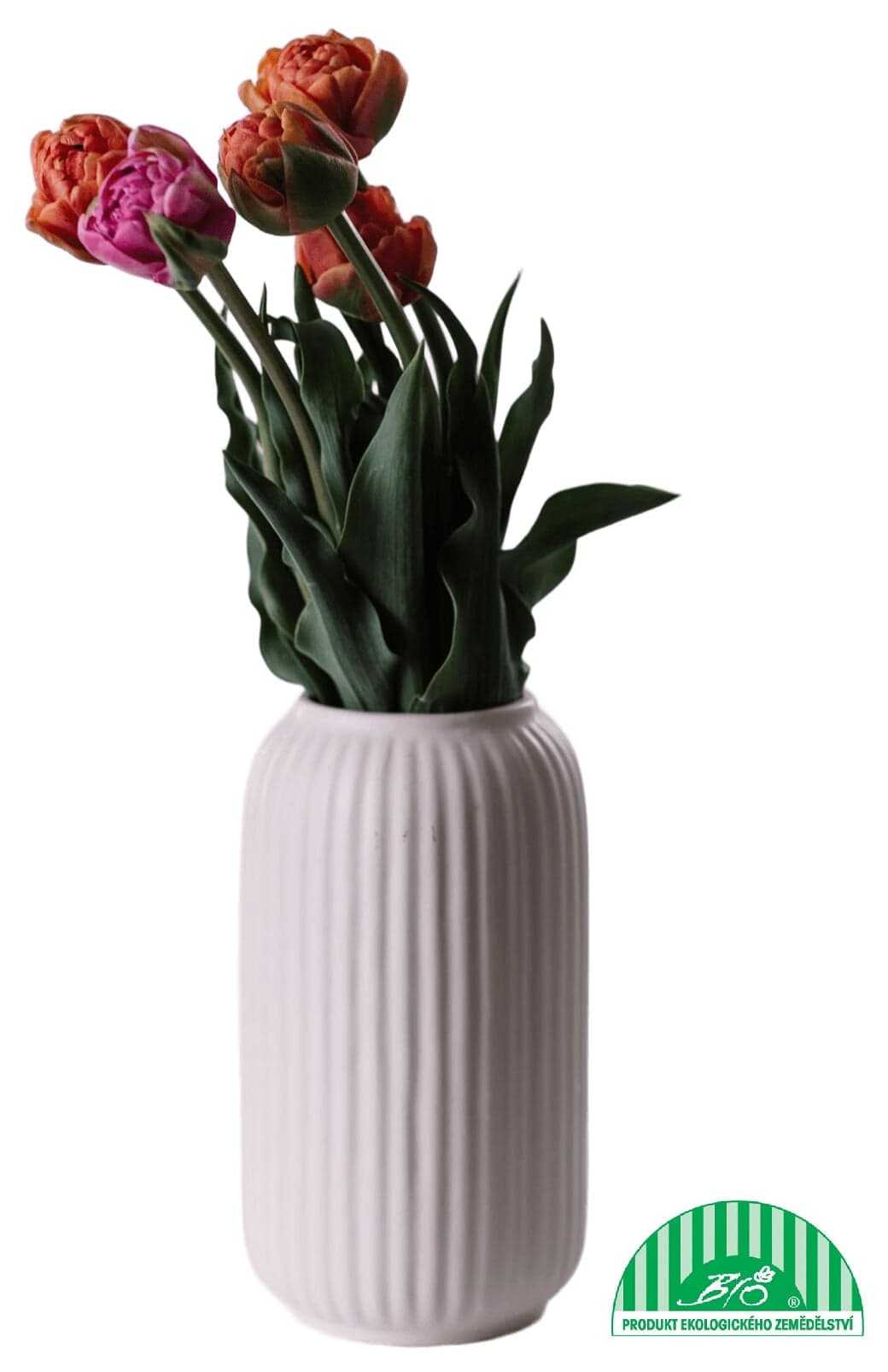 Vitenplant BIO Tulipány "Royal"