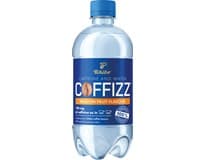 Coffizz Passion Fruit/maracuja Energetický nápoj 6 x 500 ml