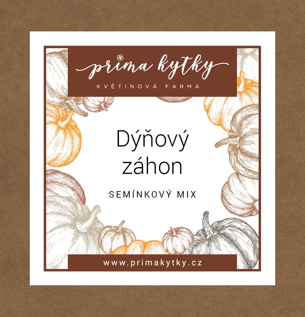 Prima kytky Semínkový mix "Dýňový záhon"