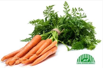 BIO Mrkev s natí (cca 300g)