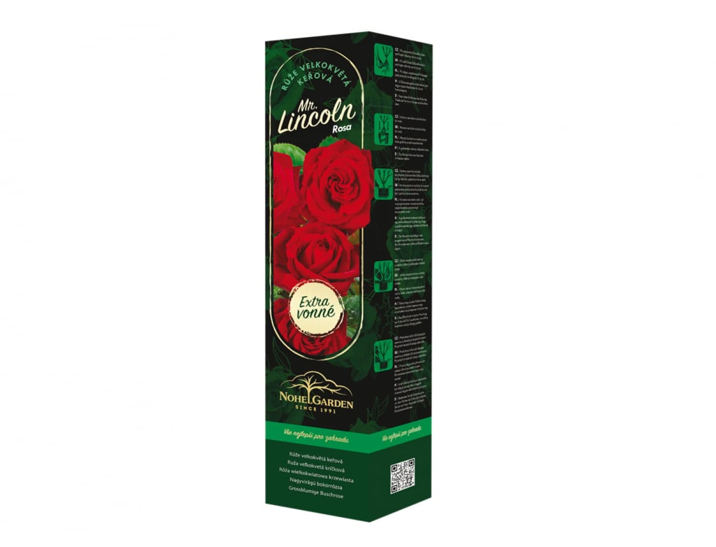 Růže velkokvětá keřová Fragrant Mister Lincoln, sazenice