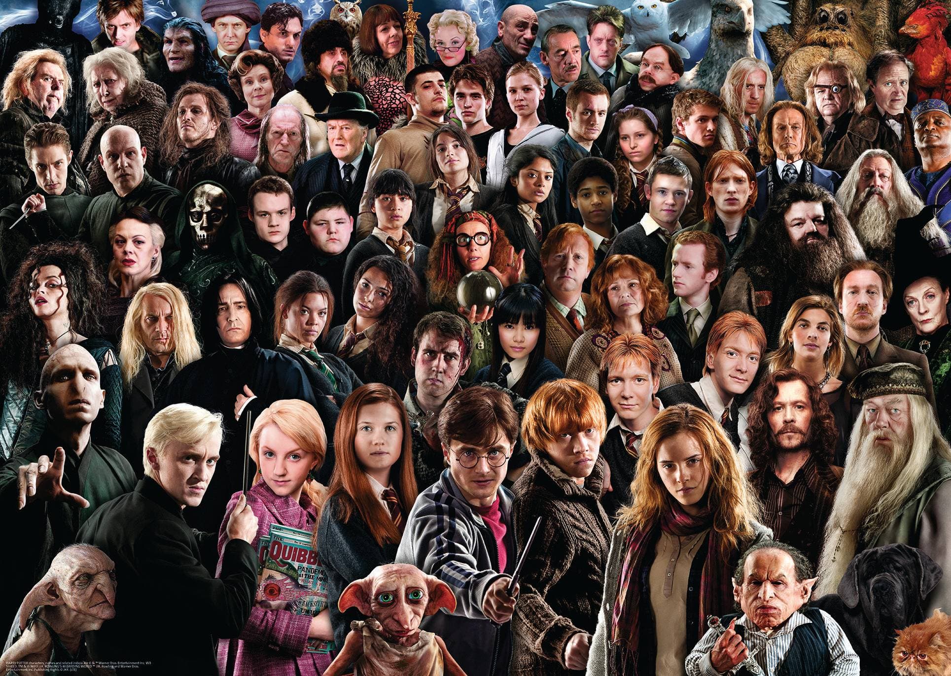 Ravensburger Puzzle 120004578 Challenge Puzzle: Harry Potter 1000 dílků