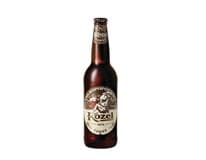 VELKOPOPOVICKÝ Kozel Pivo černé 20 x 500 ml vratná láhev