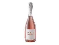 CAJ Prosecco Rosé Extra Dry 6 x 750 ml