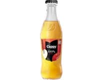 Cappy Jablko 100 % džus 24 x 250 ml vratná láhev