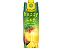 RAUCH happy day Ananas 100 % 1 l
