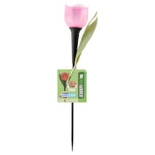 Progarden Solární světlo tulipán