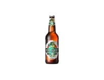 RADEGAST Rázná 10° pivo 20 x 500 ml vratná láhev