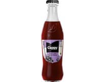 Cappy Blackcurrant 24 x 250 ml vratná láhev