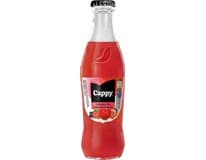 Cappy jahoda mix 24 x 250 ml vratná láhev