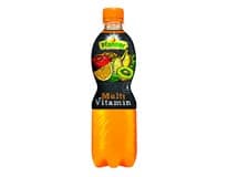 Pfanner Nápoj Multivitamin 12 % 12 x 500 ml PET