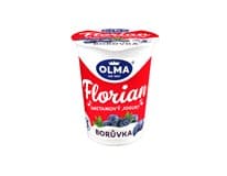 OLMA Florian jogurt smetanový borůvka chlaz. 20 x 150 g
