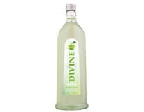DIVINE Apfel/kyselé jablko 16,6 % 1 l