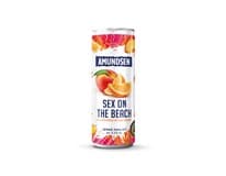 AMUNDSON S.O.T. Beach 4,5 % 12 x 250 ml