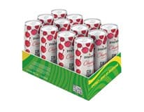 DYNYBYL Cherry/třešeň 4,5 % 12 x 250 ml