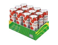 DYNYBYL Strawberry/jahoda 4,5 % 12 x 250 ml