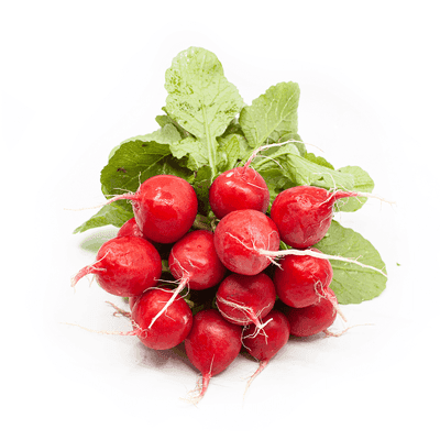 Farma Hana Součková Ředkvičky červené, svazek 250g+