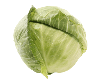 Zelí hlávkové bílé rané, 1 ks