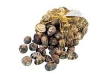 Tapeska Vongole 40-60 ks chlaz. váž. cca 1 kg