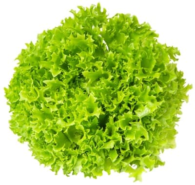 Farma Hrdlička Salát Crispy zelený 170.0 g