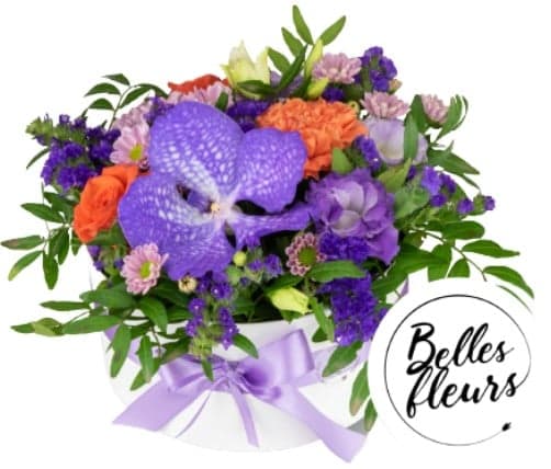 Belles Fleurs Květinový box "Vanda" s orchidejí 1 ks