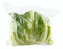Salát Římský trhaný praný 1 kg
