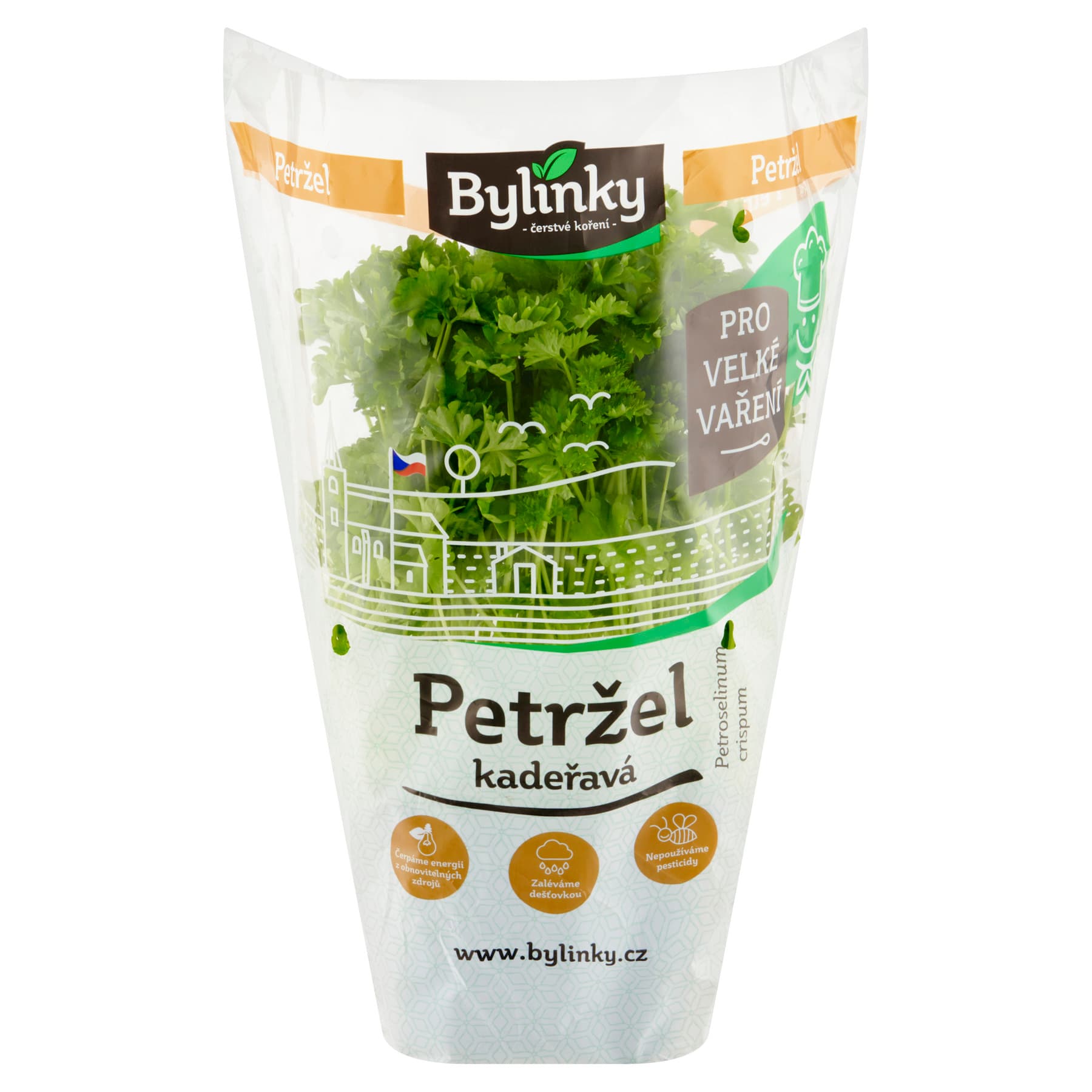 Petržel kudrnka v květináči XXL (Pro velké vaření)