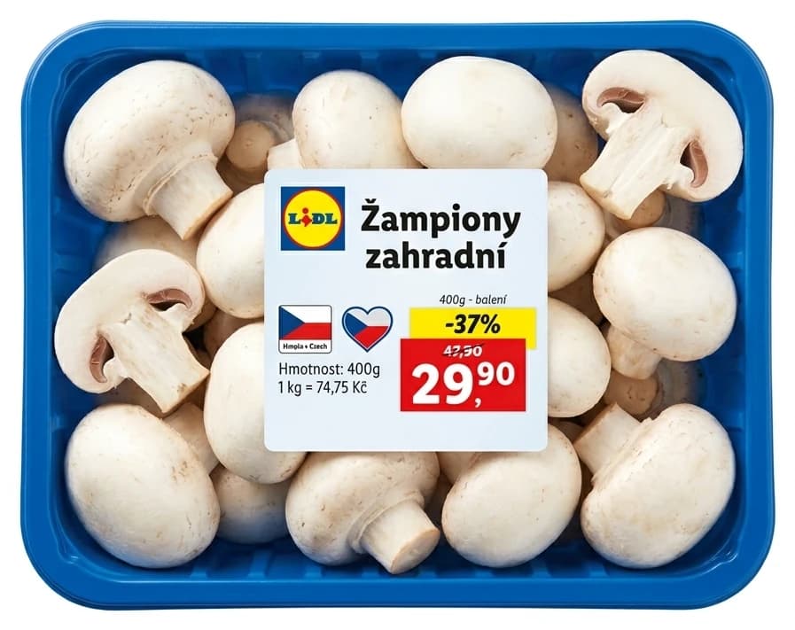 Žampiony zahradní