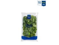 METRO Chef Koriandr čerstvý 100 g