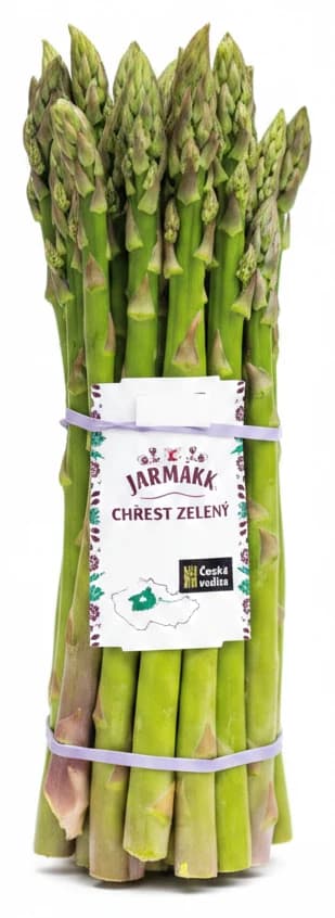 Chřest zelený